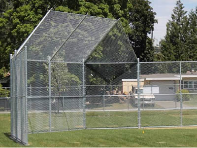 The details of zinc coated chain link baseball backstop fence on the grass.