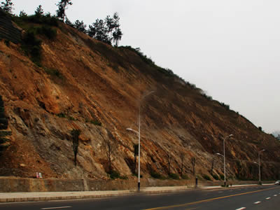 A slope sits besides the highway road, and there are only sporadic tress grow on the slope.